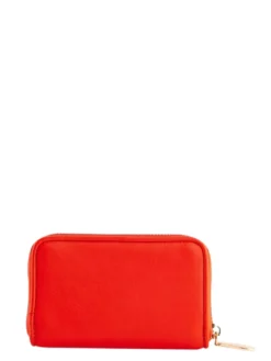 DELFY Portafoglio small