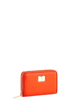 DELFY Portafoglio small