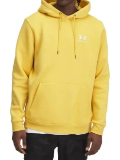 ICON FLEECE Felpa con cappuccio