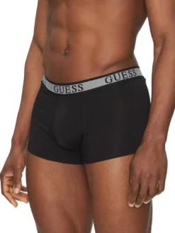 JOE 3 Boxer multicor