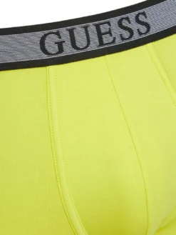 JOE 3 Boxer multicor