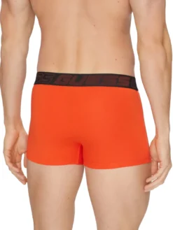 JOE 3 Boxer multicor