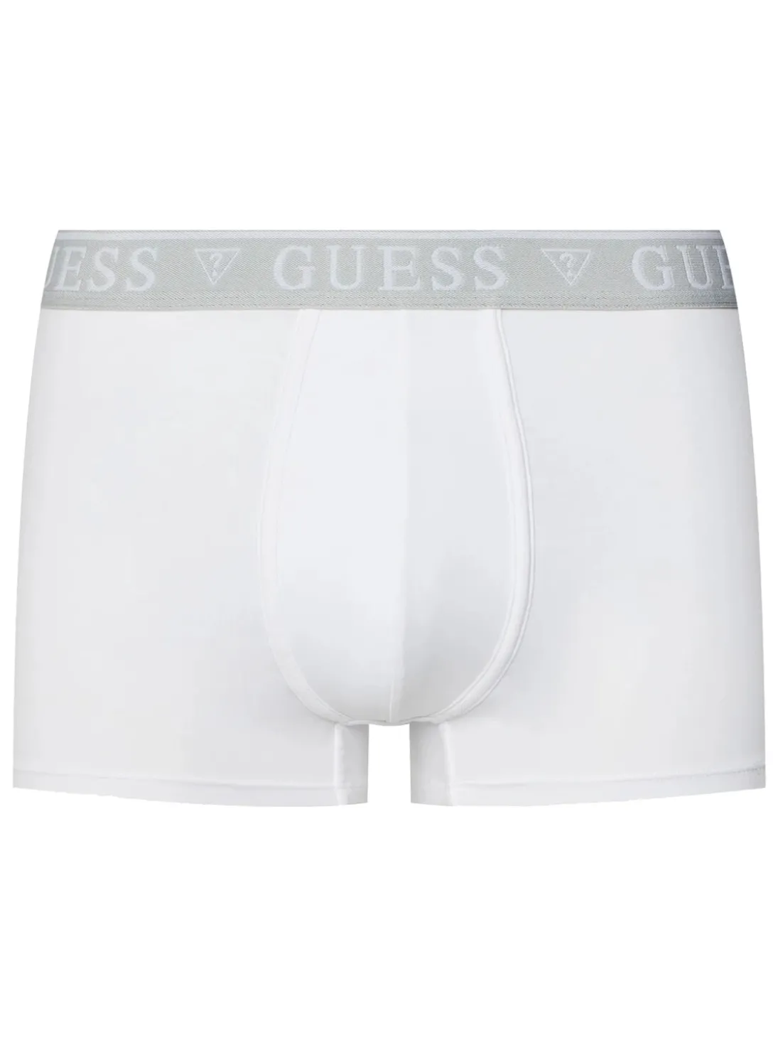 LOGO CLASSIC 5 Boxer multicolor