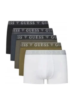 LOGO CLASSIC 5 Boxer multicolor