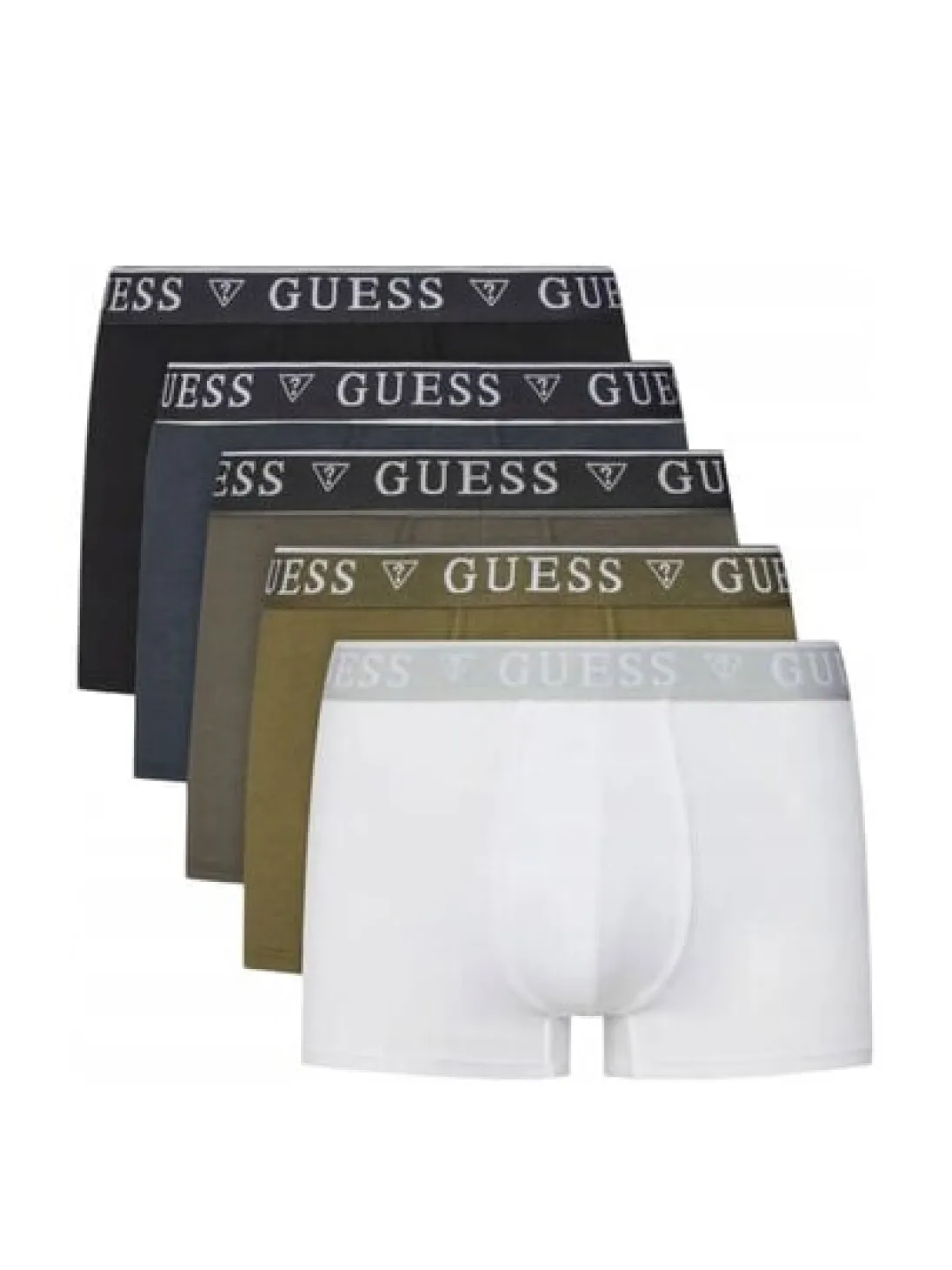 LOGO CLASSIC 5 Boxer multicolor