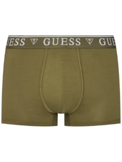 LOGO CLASSIC 5 Boxer multicolor