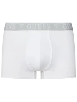 LOGO CLASSIC 5 Boxer multicolor
