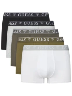 LOGO CLASSIC 5 Boxer multicolor