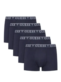LOGO CLASSIC 5 Boxer multicolor