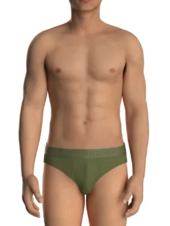 NEW CLASSIC BRIEF 2 slip