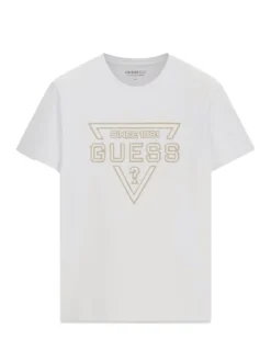 PAINTED TRIANGLE T-shirt a manica corta regular fit