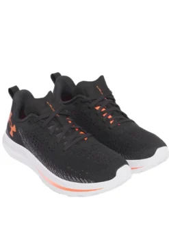 VELOCITI 4